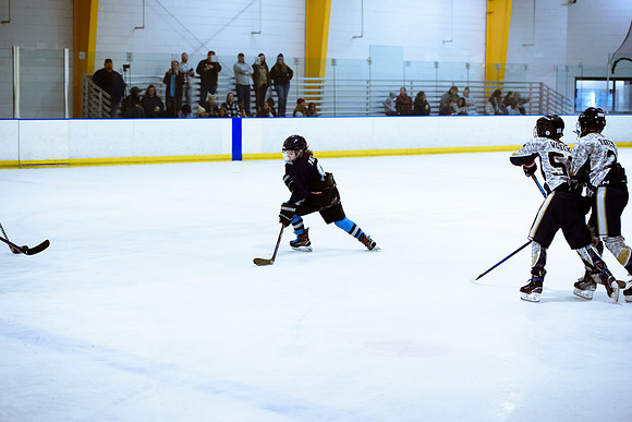 2024 Atlanta Phoenix Hockey