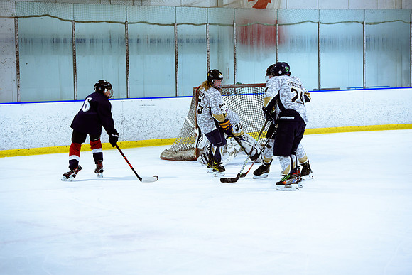 2024 Atlanta Phoenix Hockey