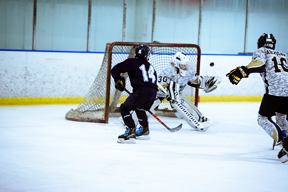 2024 Atlanta Phoenix Hockey