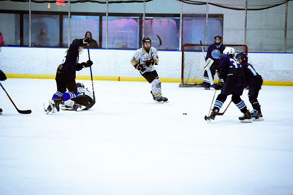 2024 Atlanta Phoenix Hockey