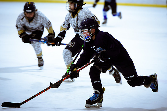 2024 Atlanta Phoenix Hockey
