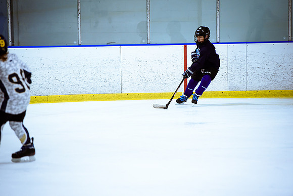 2024 Atlanta Phoenix Hockey