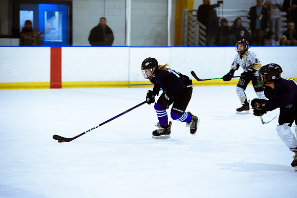 2024 Atlanta Phoenix Hockey