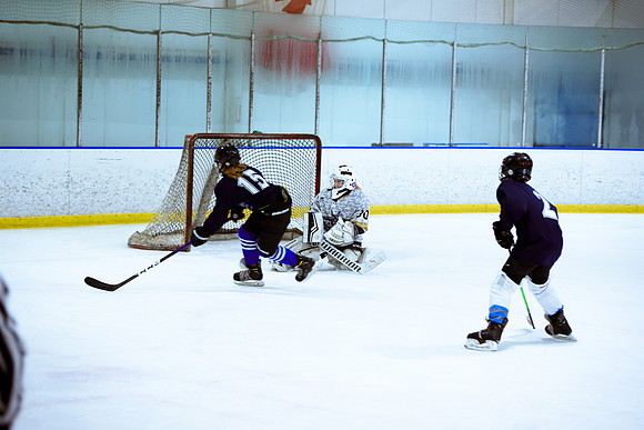 2024 Atlanta Phoenix Hockey