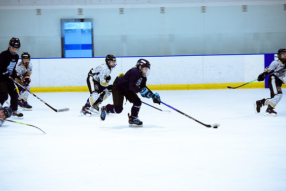 2024 Atlanta Phoenix Hockey