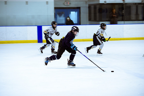 2024 Atlanta Phoenix Hockey