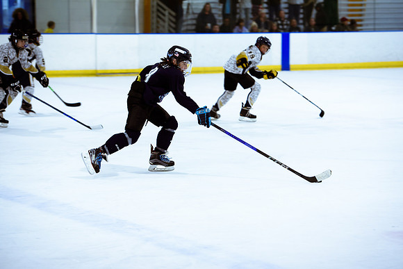 2024 Atlanta Phoenix Hockey