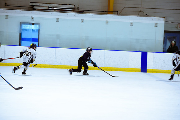 2024 Atlanta Phoenix Hockey