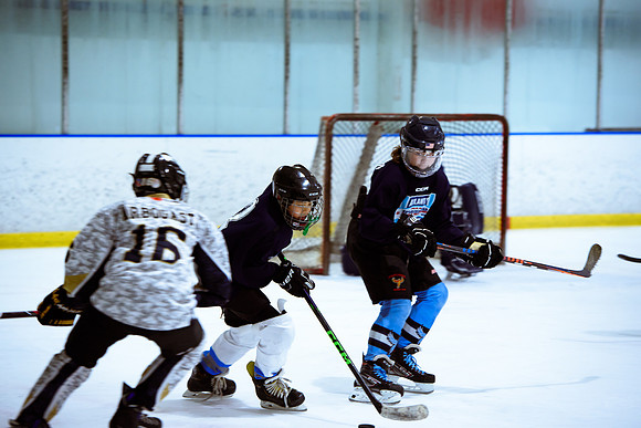 2024 Atlanta Phoenix Hockey