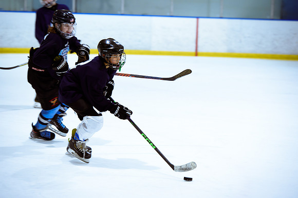 2024 Atlanta Phoenix Hockey