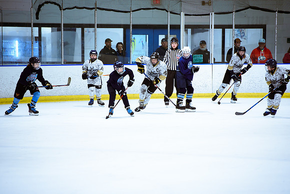 2024 Atlanta Phoenix Hockey