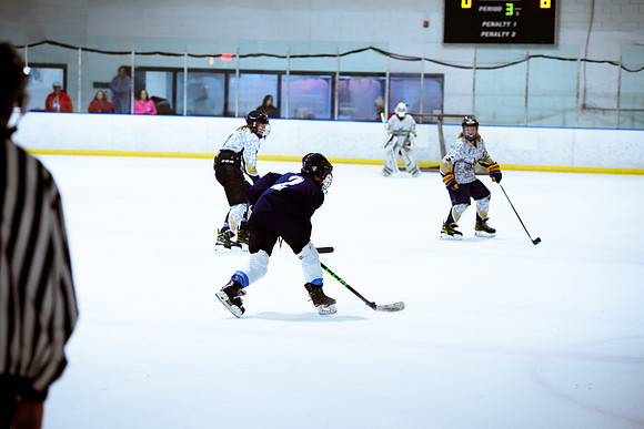 2024 Atlanta Phoenix Hockey