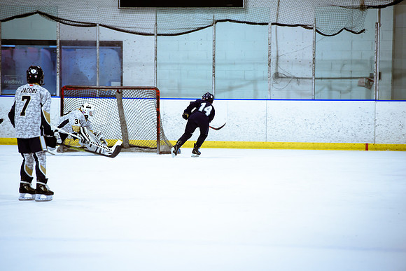 2024 Atlanta Phoenix Hockey