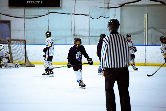 2024 Atlanta Phoenix Hockey
