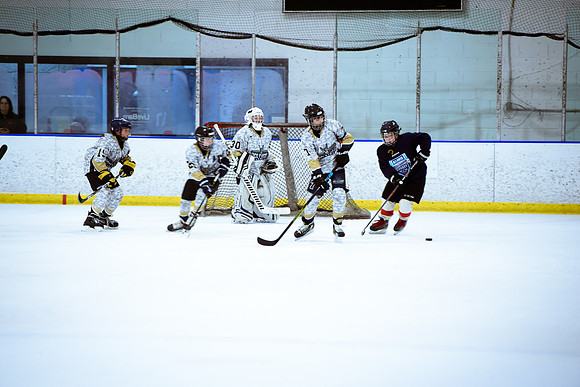 2024 Atlanta Phoenix Hockey