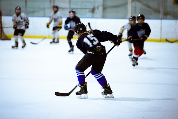 2024 Atlanta Phoenix Hockey