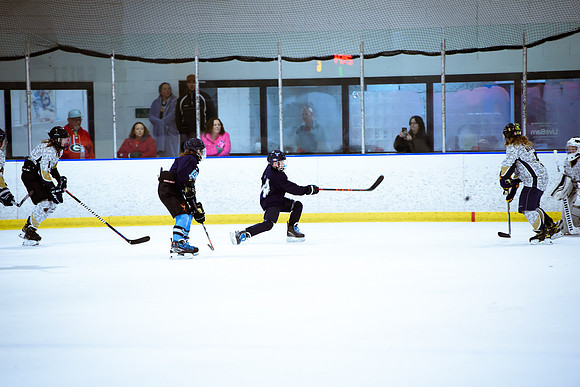 2024 Atlanta Phoenix Hockey