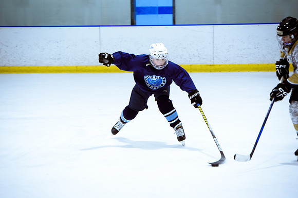 2024 Atlanta Phoenix Hockey