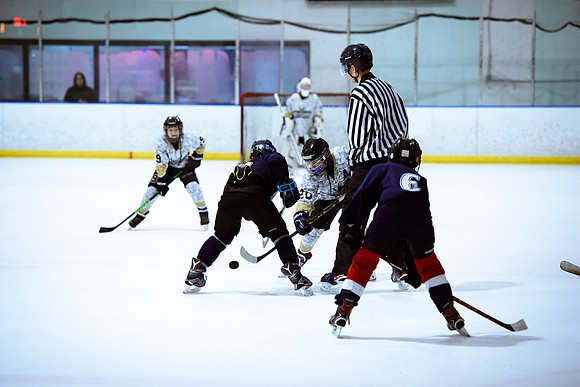 2024 Atlanta Phoenix Hockey