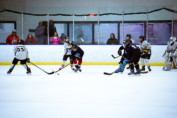 2024 Atlanta Phoenix Hockey