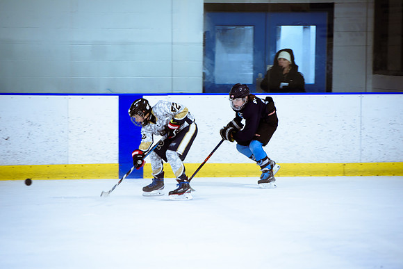 2024 Atlanta Phoenix Hockey