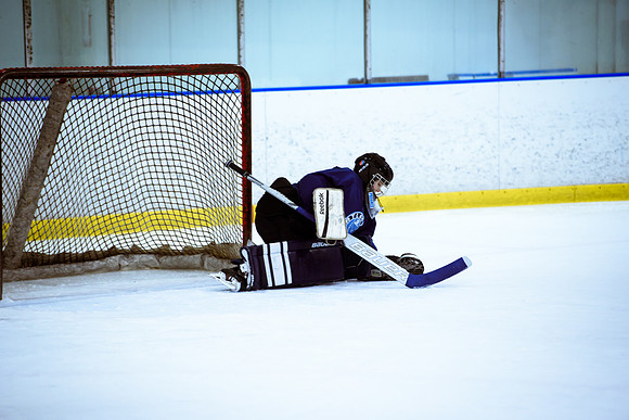 2024 Atlanta Phoenix Hockey