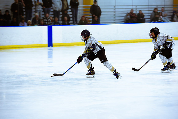 2024 Atlanta Phoenix Hockey