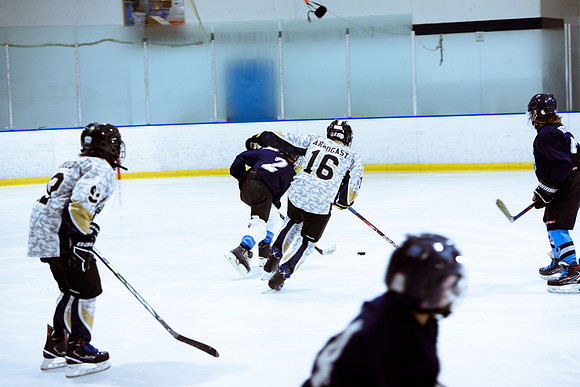 2024 Atlanta Phoenix Hockey