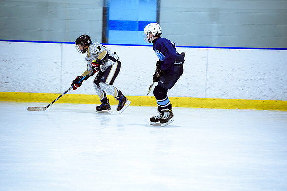 2024 Atlanta Phoenix Hockey
