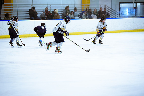 2024 Atlanta Phoenix Hockey