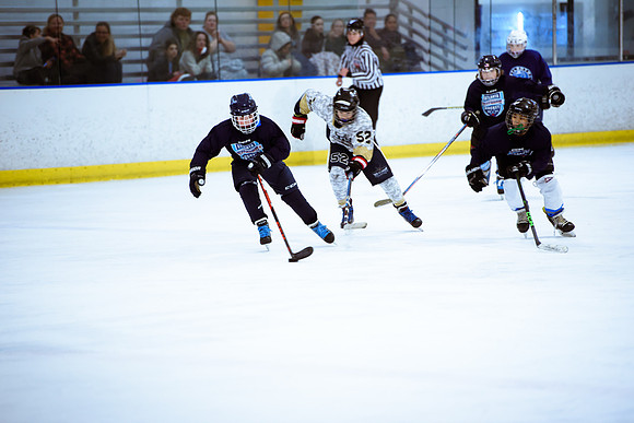 2024 Atlanta Phoenix Hockey