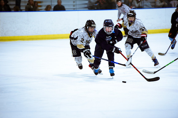 2024 Atlanta Phoenix Hockey