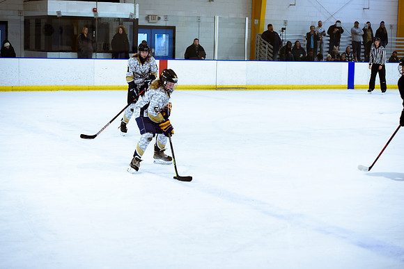 2024 Atlanta Phoenix Hockey