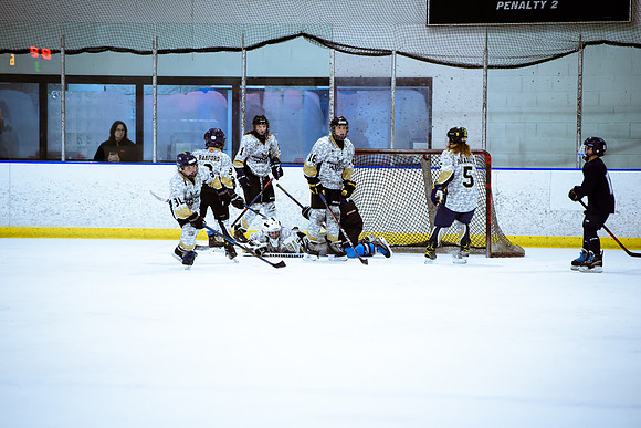 2024 Atlanta Phoenix Hockey