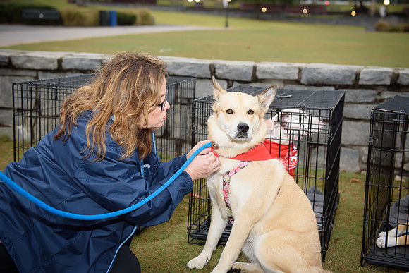 2019 Jonny and Xena 5K