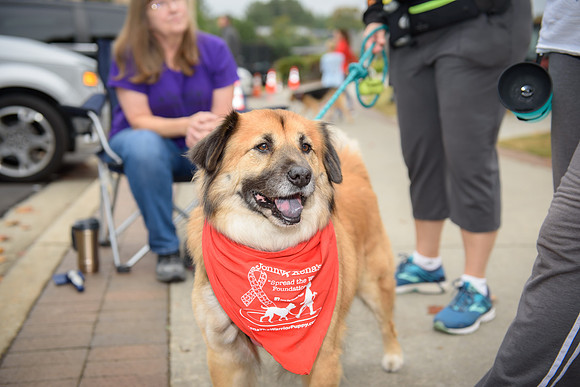 2019 Jonny and Xena 5K