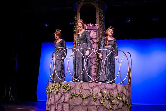 SFHS Shrek The Musical