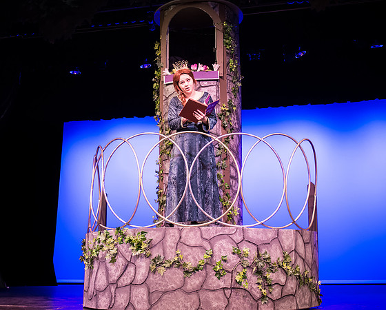 SFHS Shrek The Musical