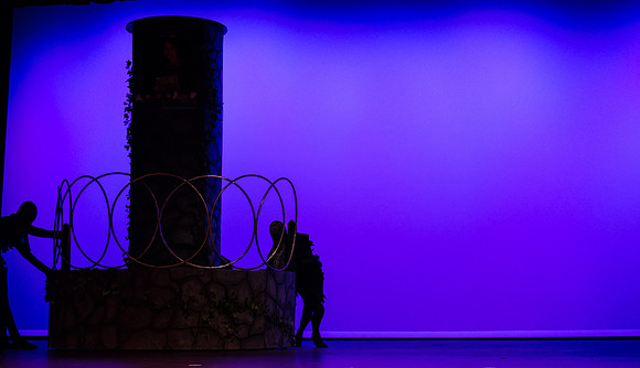SFHS Shrek The Musical