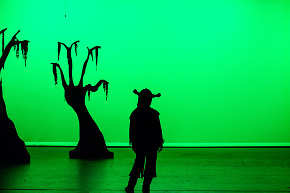 SFHS Shrek The Musical