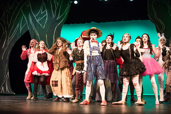 SFHS Shrek The Musical