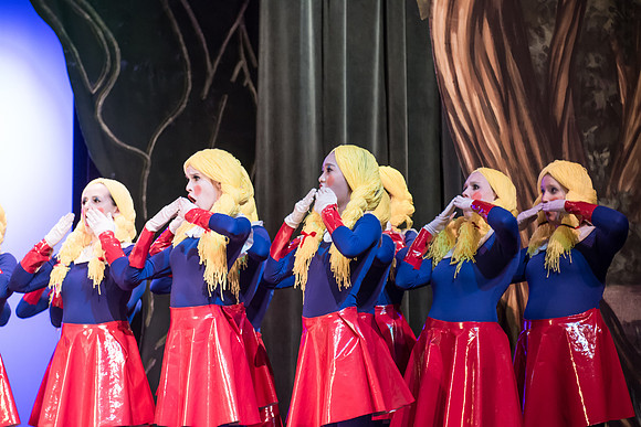 SFHS Shrek The Musical