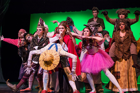 SFHS Shrek The Musical