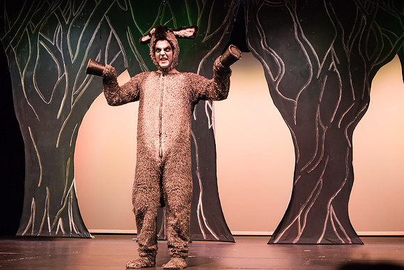 SFHS Shrek The Musical