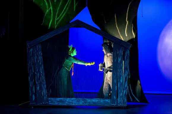 SFHS Shrek The Musical