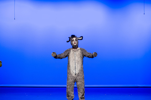 SFHS Shrek The Musical