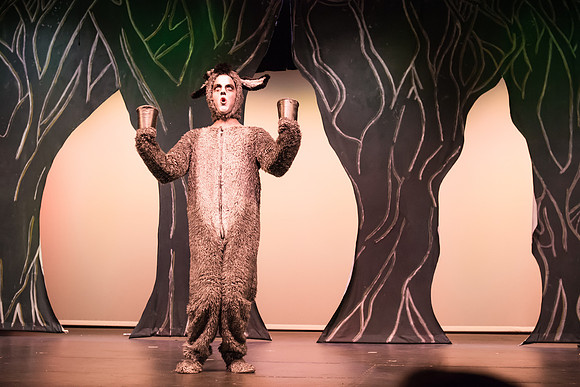 SFHS Shrek The Musical