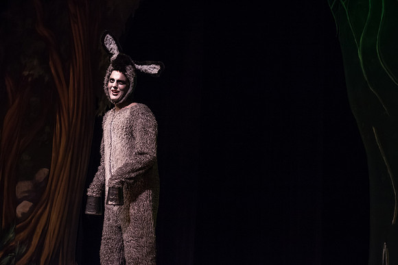 SFHS Shrek The Musical