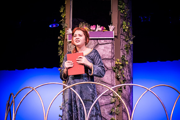 SFHS Shrek The Musical