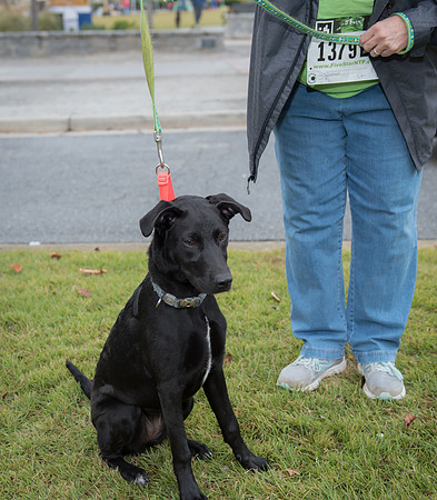 2017 Jonny and Xena 5K